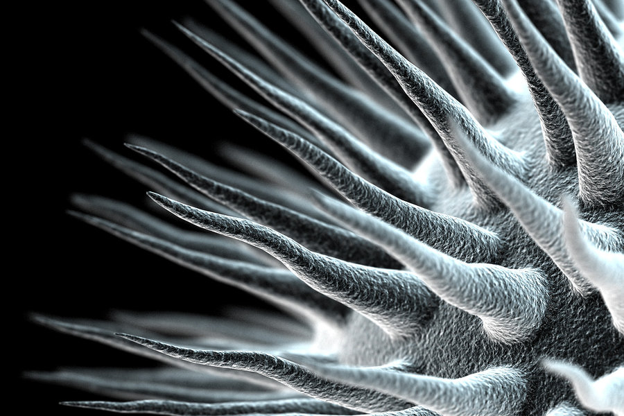 biology_by_utype